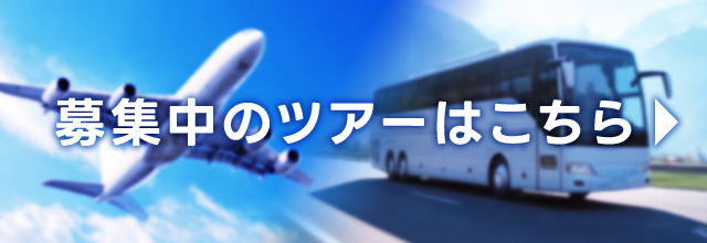 募集中のツアー